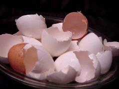 Is eggshell useful as a source of calcium?