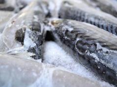 Methods for defrosting fish