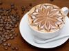 Cappuccino in a coffee machine: preparation rules Which coffee is best for cappuccino in a coffee machine