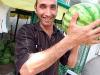 How to choose a ripe and tasty watermelon How to check if a watermelon is ripe