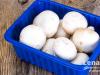 Si të ngrini kampionët e freskët: sekretet e ruajtjes së kërpudhave në frigorifer