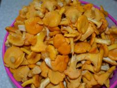 Délicieuses recettes de caviar de girolles pour l'hiver