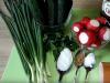 Vitamin cold borscht with pickled beets: recipe features How to cook cold borscht from pickled beets