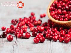 Beneficial properties and contraindications of cranberries Cranberry benefits contraindications