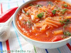 Bortsch de Carême.  Comment cuisiner?  Comment faire cuire le bortsch maigre Plats de carême bortsch