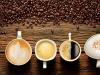 एक कप कॉफ़ी में कितनी कैलोरी होती है और क्या कॉफ़ी आपको मोटा बनाती है?